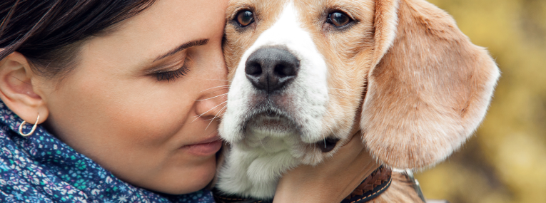 Hundebesitzerin kuschelt mit Beagle