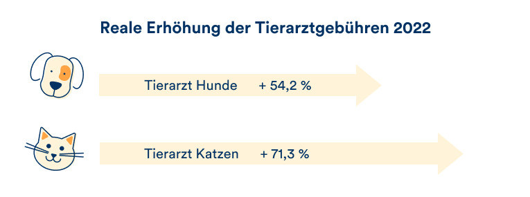 Die reale Erhöhung der Tierarztgebühren seit 2022 wird anhand eines Diagramms verdeutlicht.