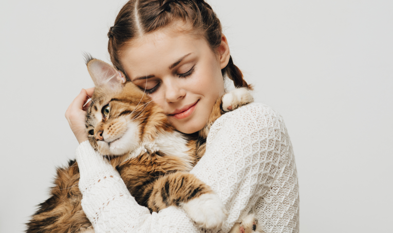 Eine Katze kann nach einer Blutuntersuchung wieder gesund und munter mit ihrem Frauchen schmusen.