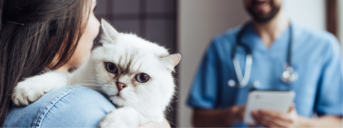 Eine Katze ist auf dem Arm ihres Frauchens bei einem Tierarztbesuch.