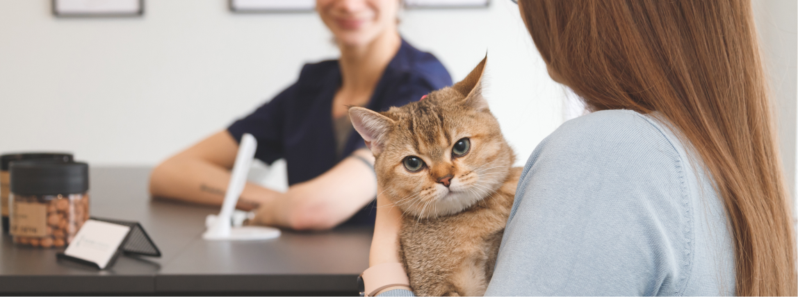 Eine Tierärztin bespricht den Behandlungsplan und Behandlungskosten mit einer Katzenbesitzerin.