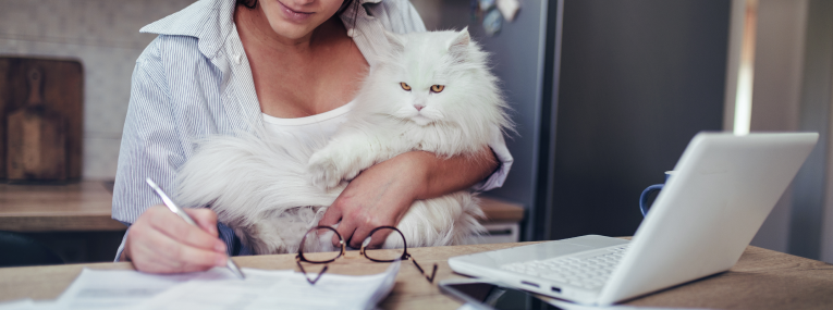 Eine Katzenbesitzerin überprüft die Tierarztrechnungen für ihre Katze.