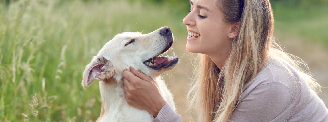 Ein Labrador spielt mit seinem Frauchen.