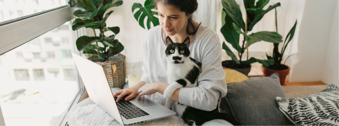 Eine Katzenbesitzerin ist online auf der Suche nach einer Katzenkrankenversicherung.