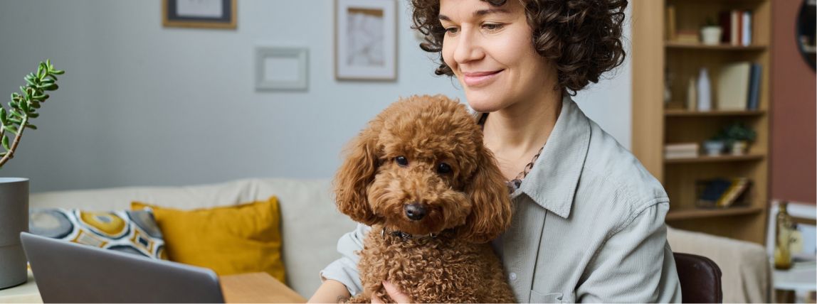 Eine Hundebesitzerin vergleicht Tarife für Hundekrankenversicherungen.