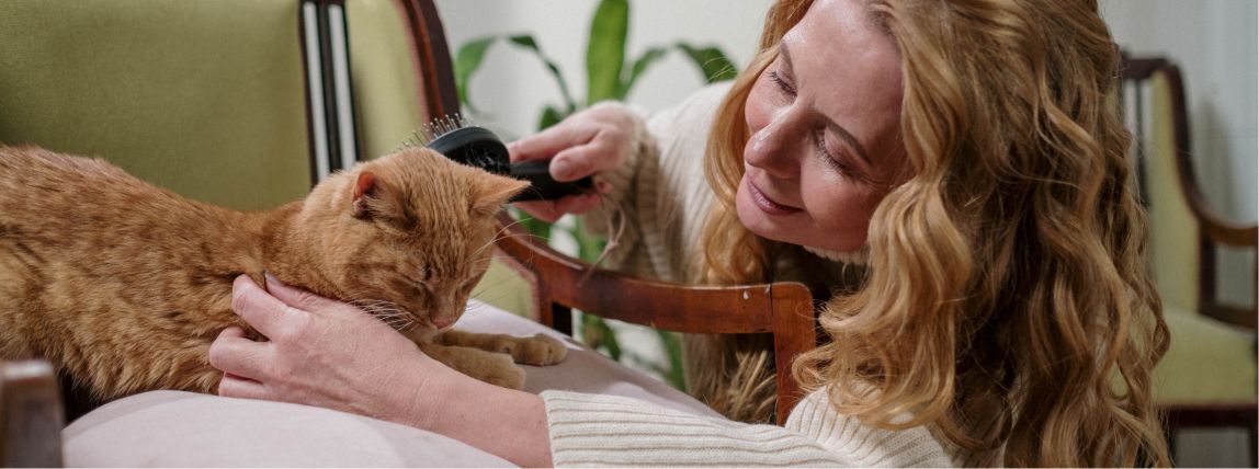 Eine Katze wird von ihrem Frauchen gepflegt.