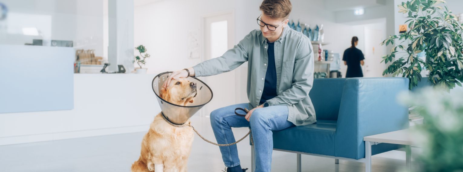 Ein Hund wartet mit seinem Herrchen im Wartezimmer einer Tierarztpraxis.