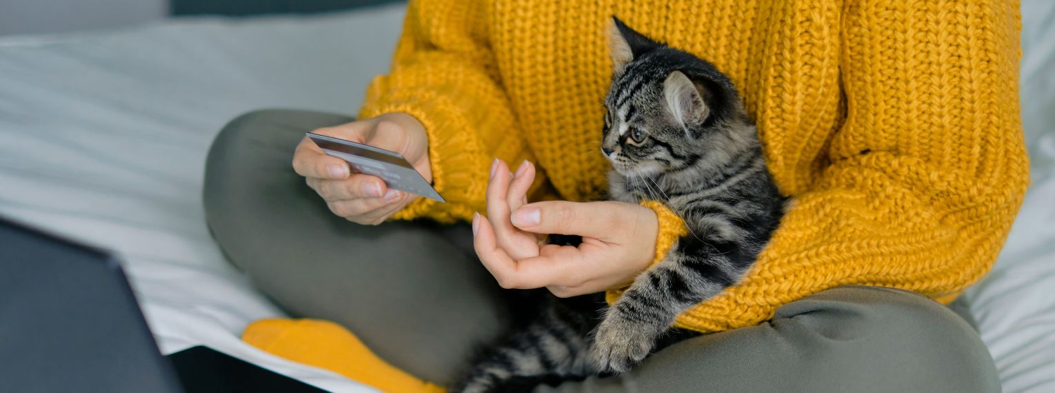 Eine Katze ruht auf dem Schoß der Besitzerin.