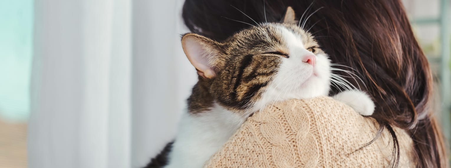 Eine Katze wird von ihrer Besitzerin im Arm gehalten.