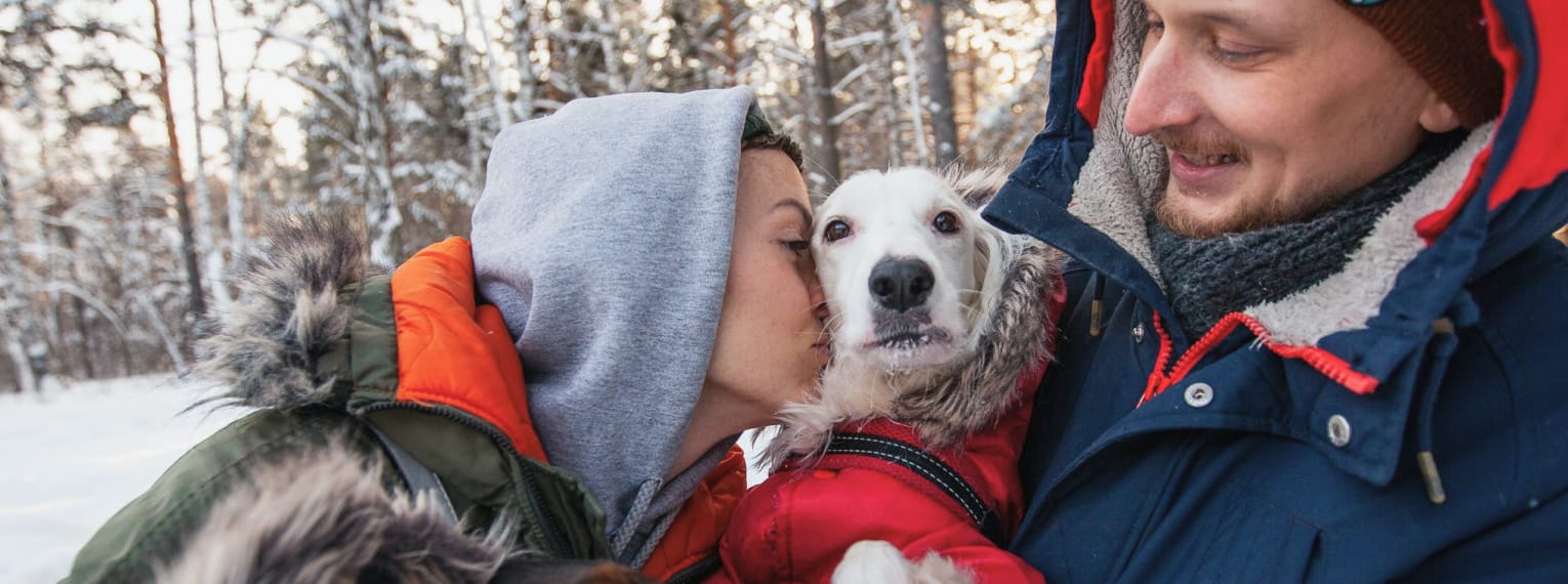 Ein Hund wird von seinen Besitzern umarmt und geküsst.