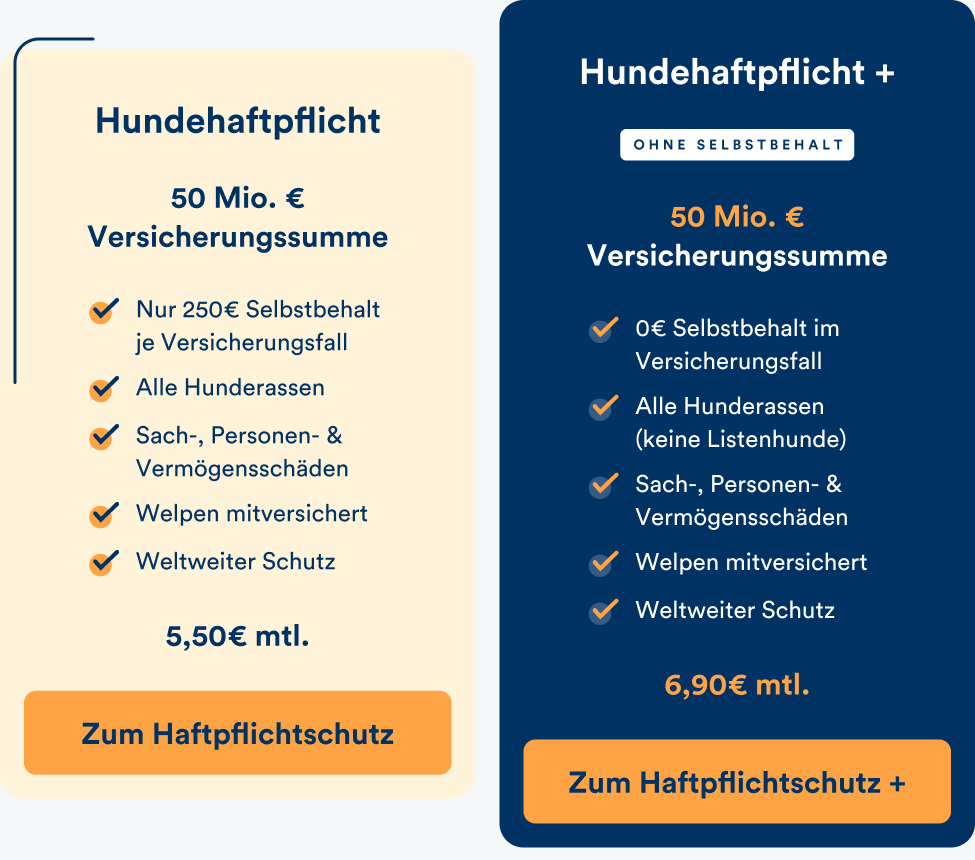 Die petolo Hundehaftpflichttarife im Überblick
