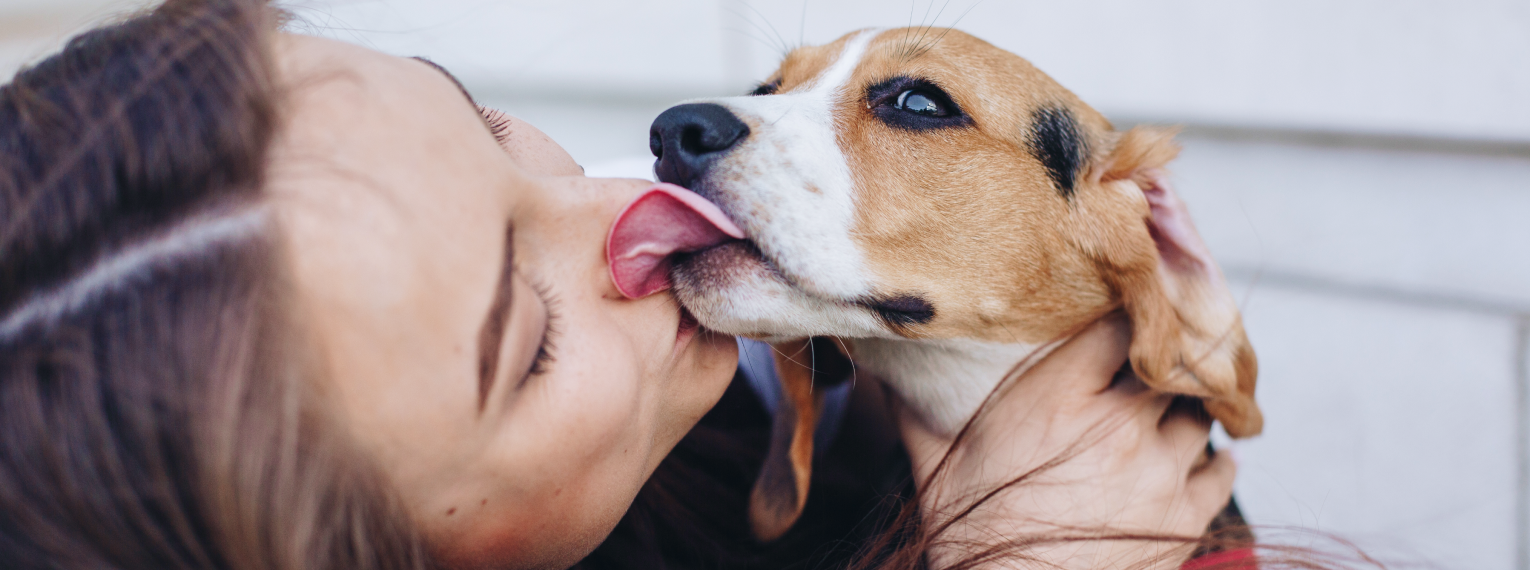 Ein Hund leckt sein Frauchen ab.