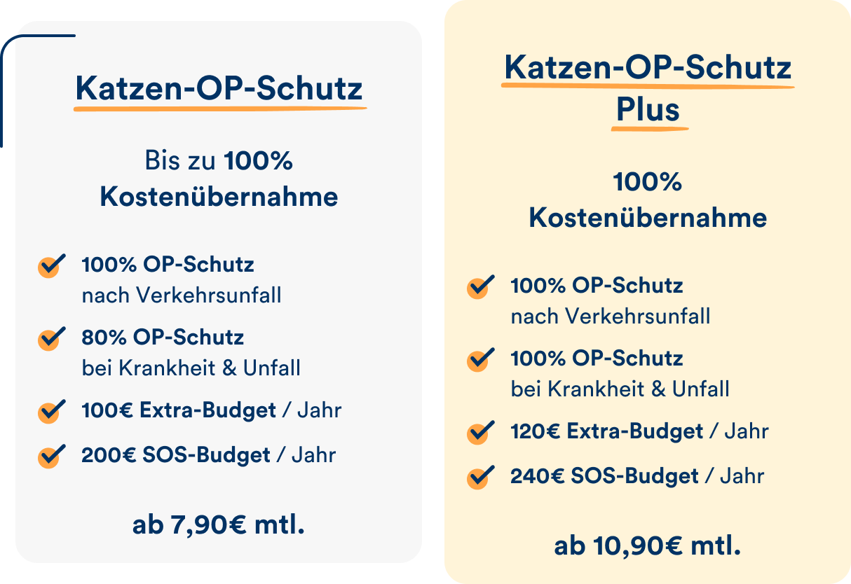 Die petolo Katzen-OP-Schutz Tarife im Überblick.