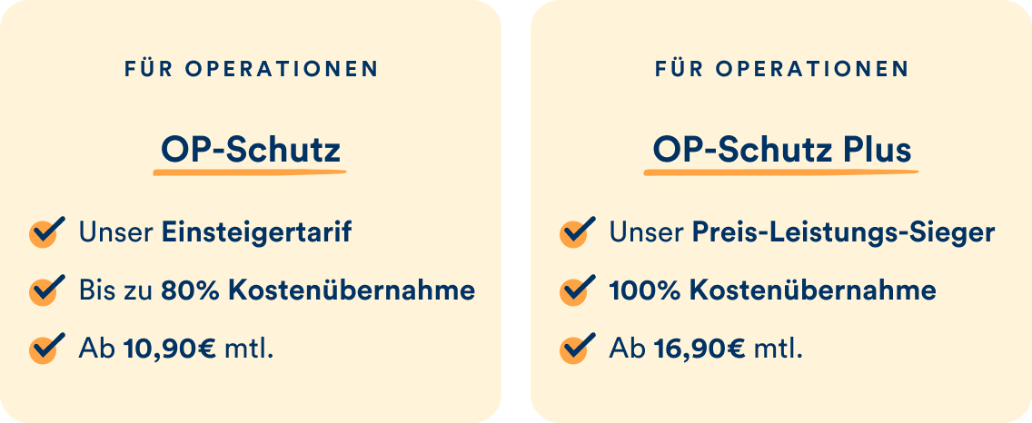 Die petolo Hunde-OP-Schutz-Tarife im Überblick